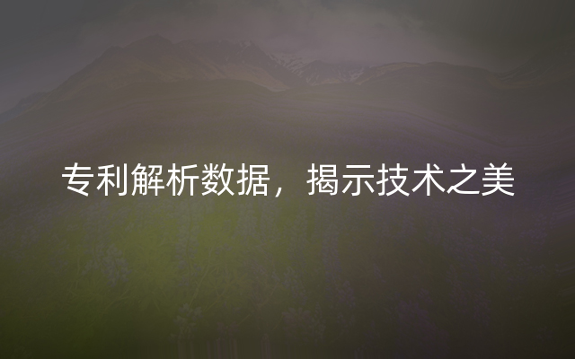 专利解析数据，揭示技术之美