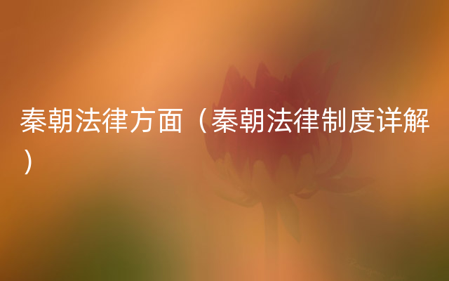 秦朝法律方面（秦朝法律制度详解）
