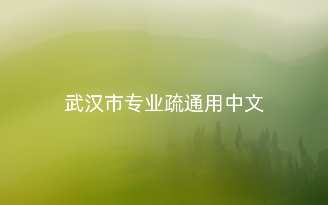 武汉市专业疏通用中文
