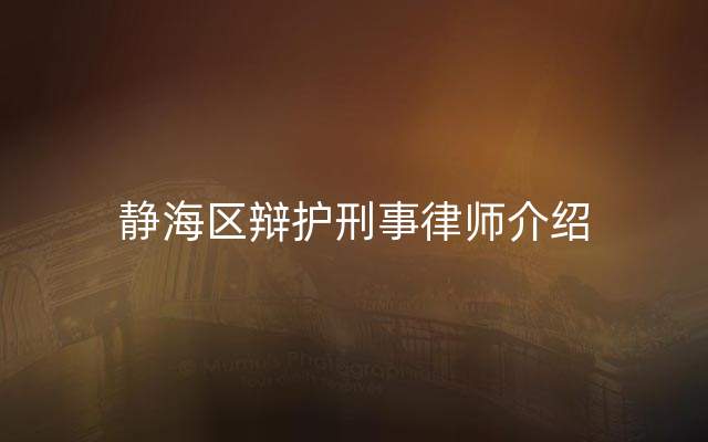 静海区辩护刑事律师介绍