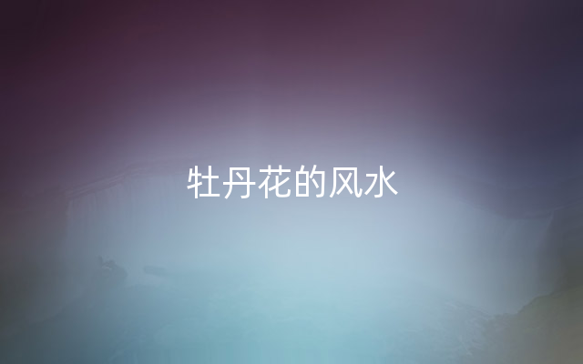 牡丹花的风水
