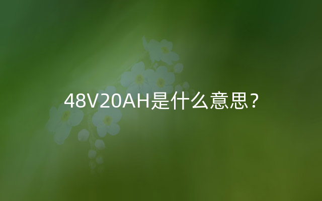 48V20AH是什么意思？