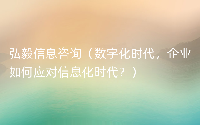 弘毅信息咨询（数字化时代，企业如何应对信息化时