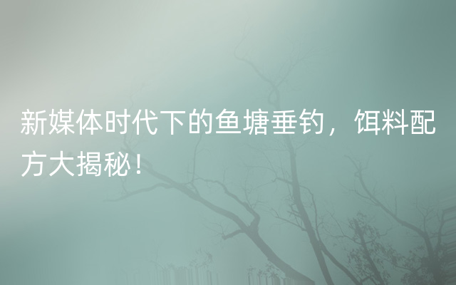 新媒体时代下的鱼塘垂钓，饵料配方大揭秘！