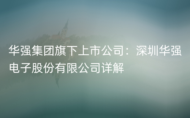 华强集团旗下上市公司：深圳华强电子股份有限公司