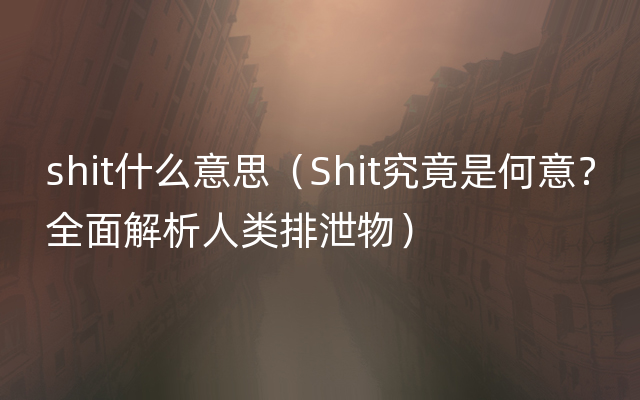 shit什么意思（Shit究竟是何意？全面解析人类排泄物）