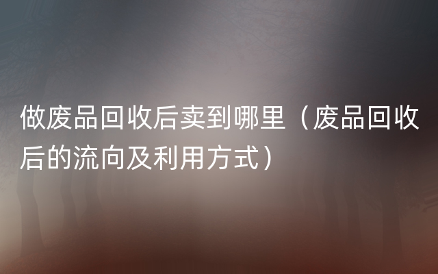 做废品回收后卖到哪里（废品回收后的流向及利用方式）