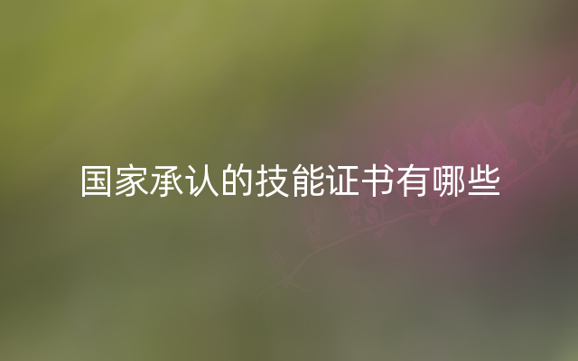 国家承认的技能证书有哪些