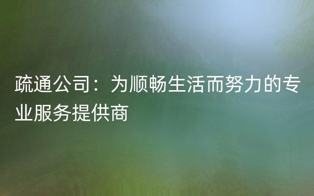 疏通公司：为顺畅生活而努力的专业服务提供商