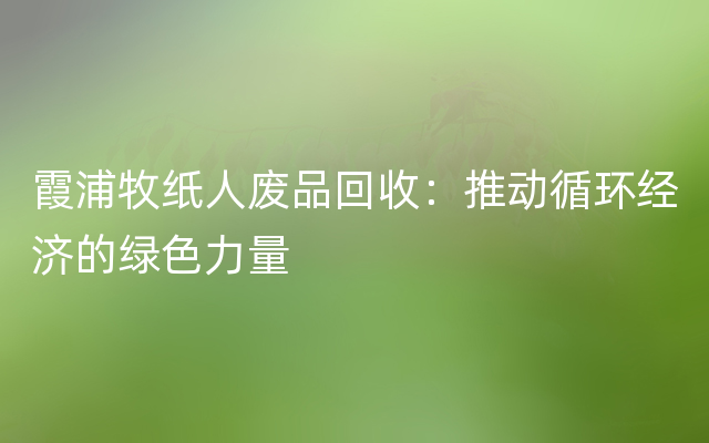 霞浦牧纸人废品回收：推动循环经济的绿色力量