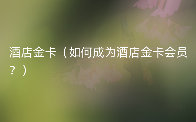 酒店金卡（如何成为酒店金卡会员？）
