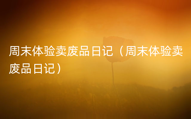 周末体验卖废品日记（周末体验卖废品日记）