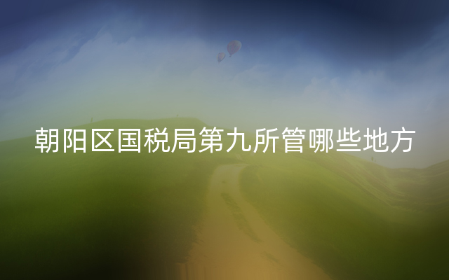 朝阳区国税局第九所管哪些地方