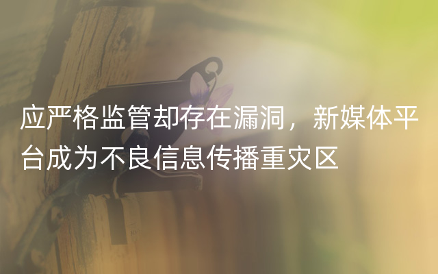 应严格监管却存在漏洞，新媒体平台成为不良信息传