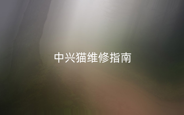 中兴猫维修指南