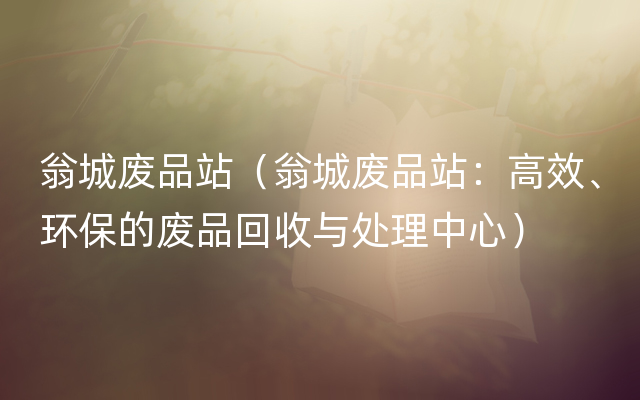 翁城废品站（翁城废品站：高效、环保的废品回收与处理中心）