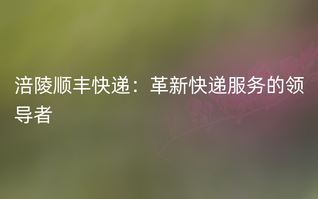 涪陵顺丰快递：革新快递服务的领导者