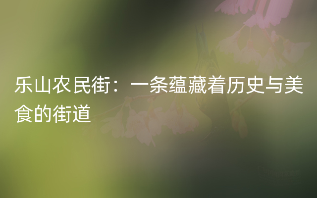 乐山农民街：一条蕴藏着历史与美食的街道