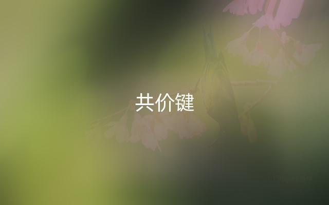 共价键