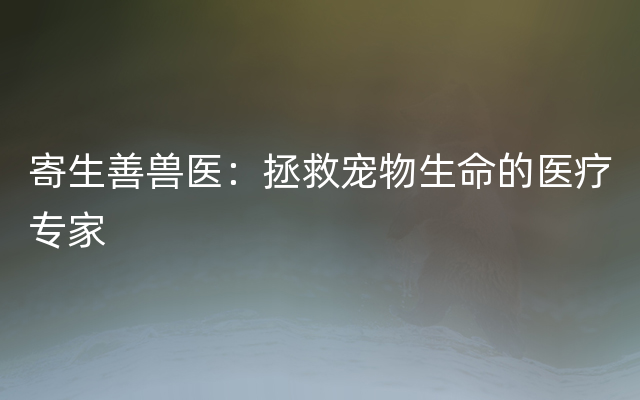 寄生善兽医：拯救宠物生命的医疗专家