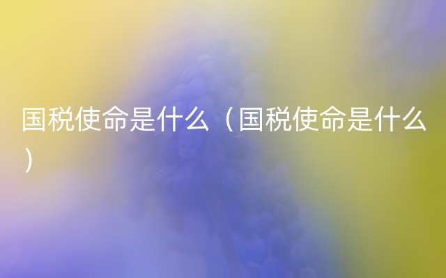 国税使命是什么（国税使命是什么）