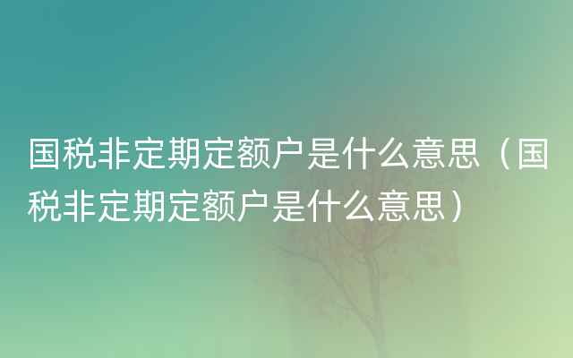 国税非定期定额户是什么意思（国税非定期定额户是什么意思）