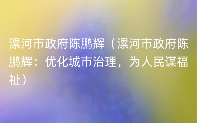 漯河市政府陈鹏辉（漯河市政府陈鹏辉：优化城市治理，为人民谋福祉）