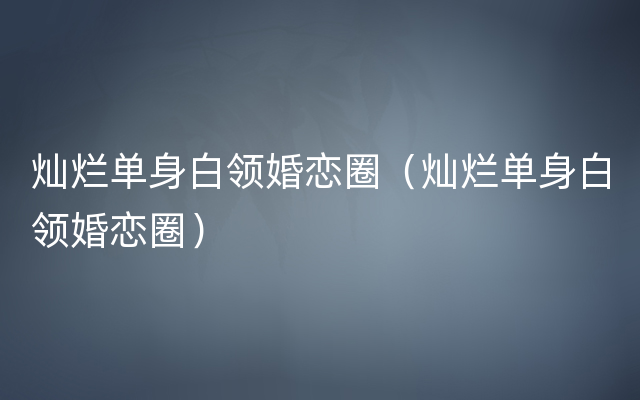 灿烂单身白领婚恋圈（灿烂单身白领婚恋圈）