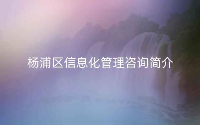杨浦区信息化管理咨询简介