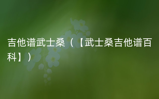 吉他谱武士桑（【武士桑吉他谱百科】）