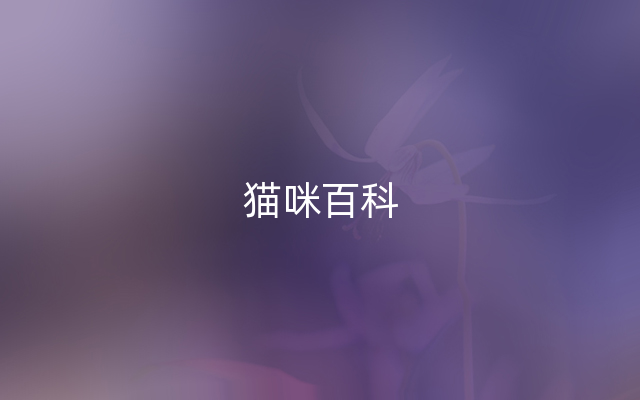 猫咪百科
